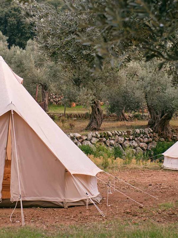 white-tent-fixed-on-ground-in-forest-area-L5TLENKa.jpg